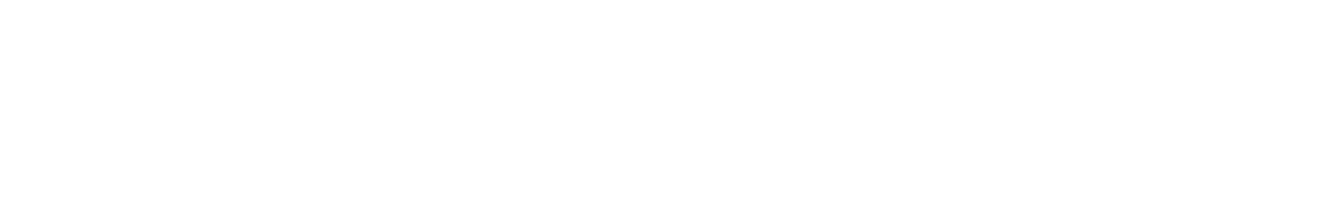 Vision